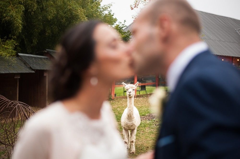 Wedding Photographer